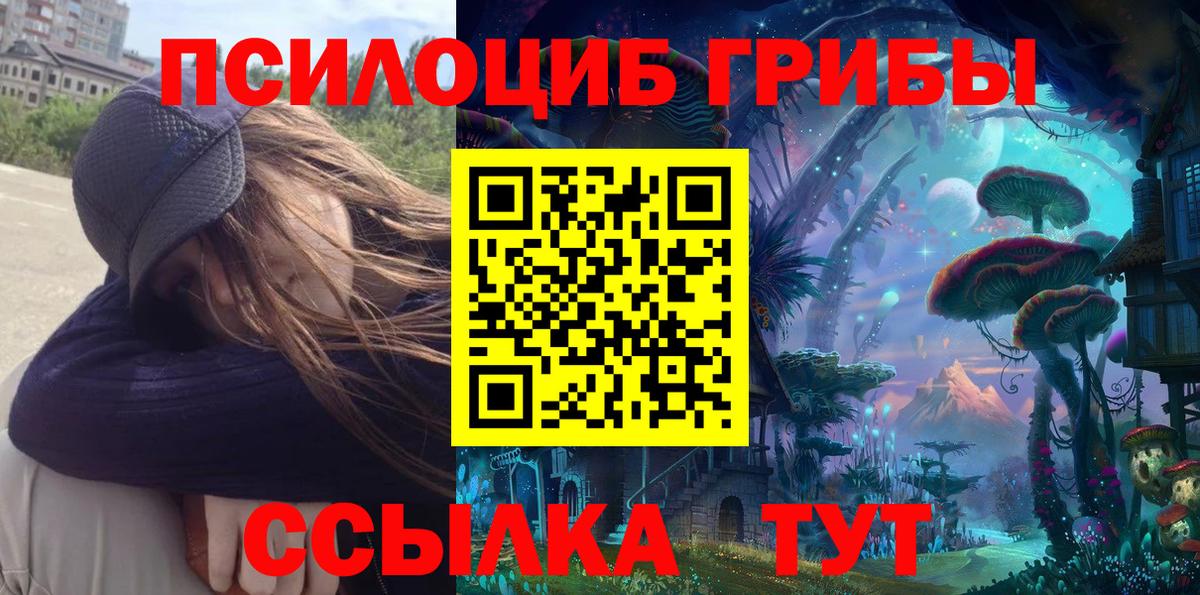 Псилоцибиновые грибы MAGIC MUSHROOMS  купить закладку  Курган  Псилоцибиновые грибы GOLDEN TEACHER 