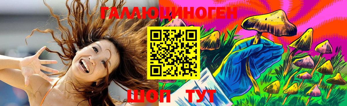 Курган  Галлюциногенные грибы Psilocybine cubensis  Вход с VPN 