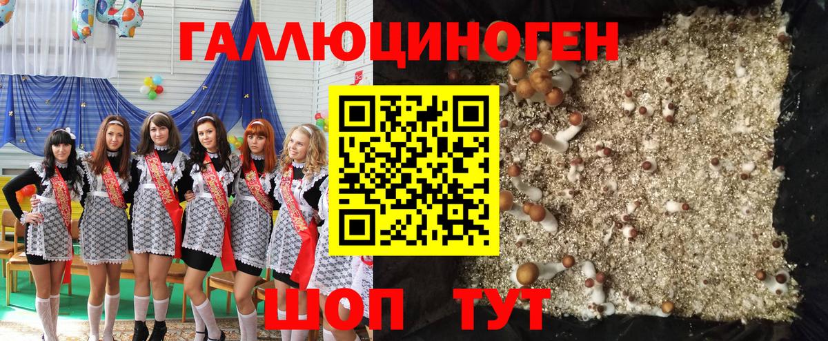 Псилоцибиновые грибы мухоморы Курган